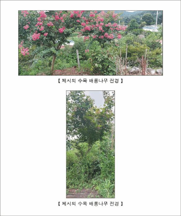 사진 03