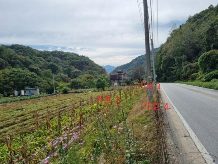 사진 03