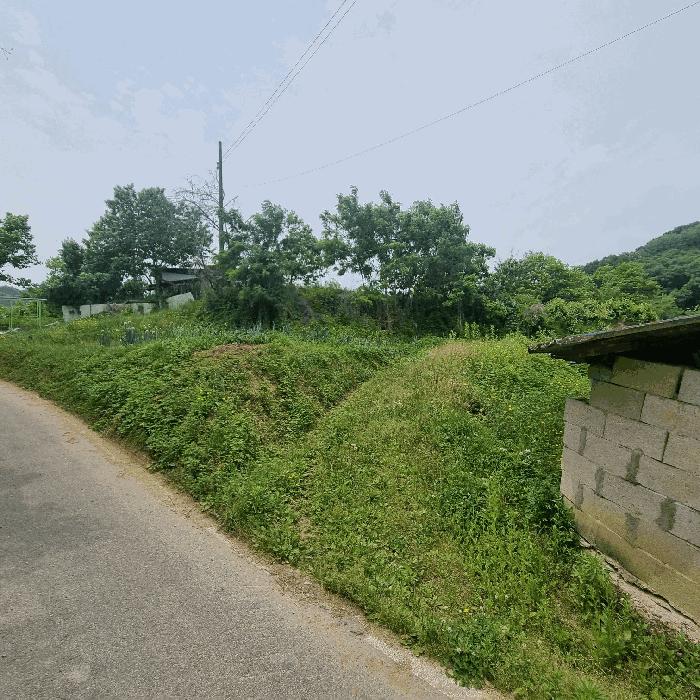 사진 03