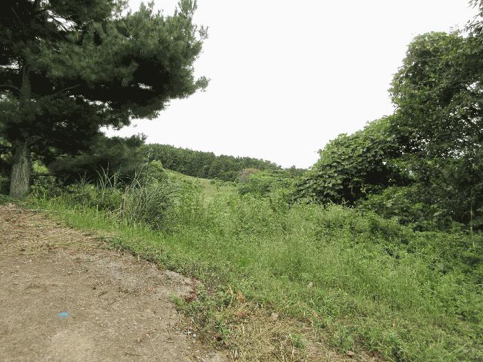 사진 07