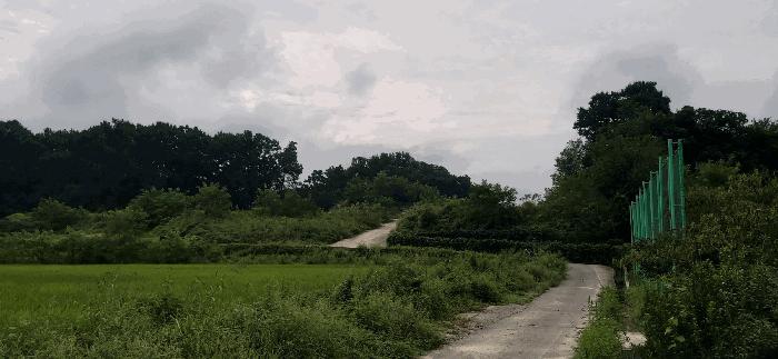 2025타경51689 대표 사진