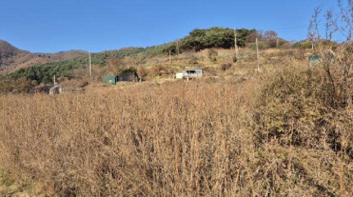 사진 04