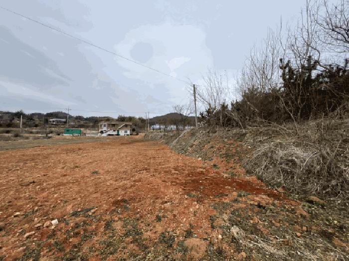 사진 07