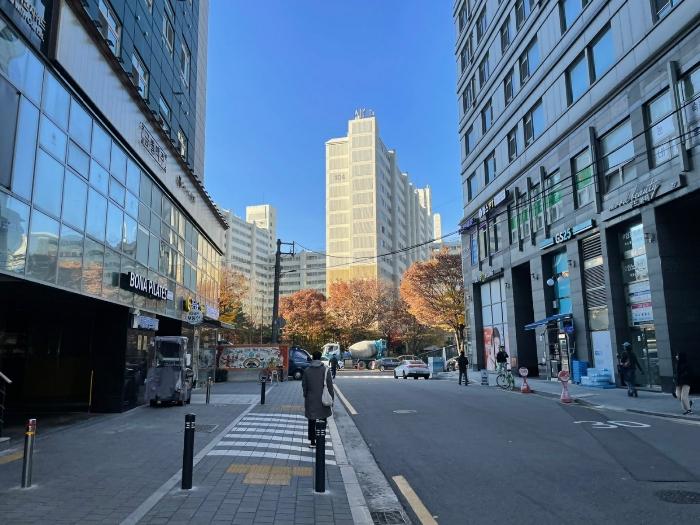 사진 05