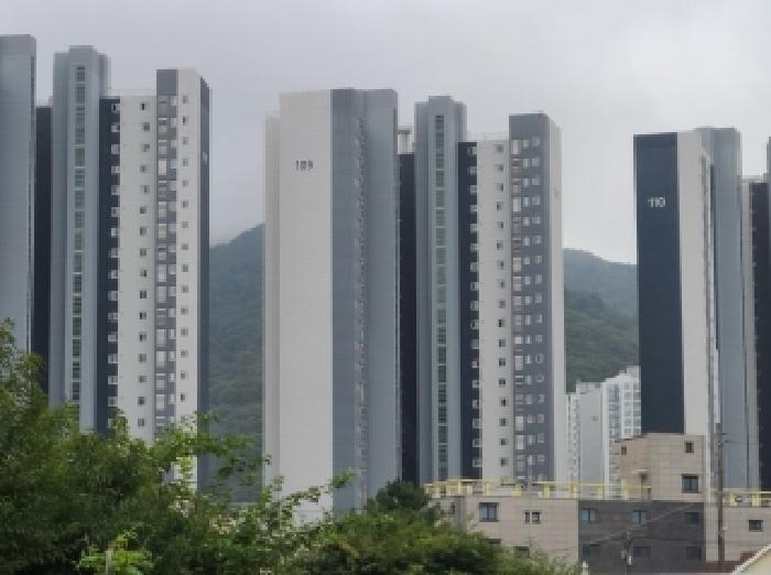 사진 03