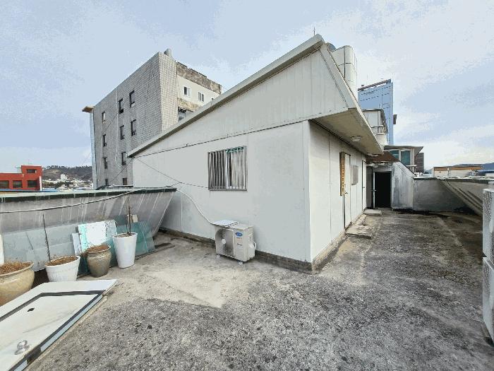 사진 02