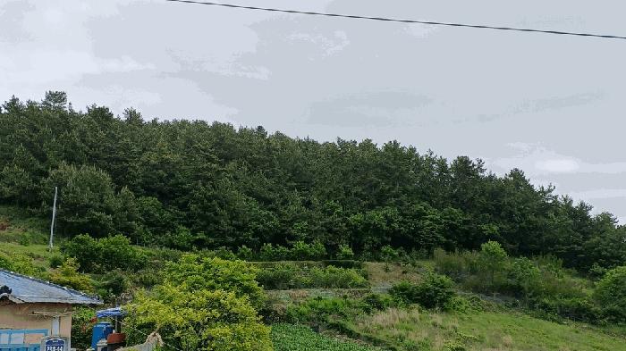 사진 05
