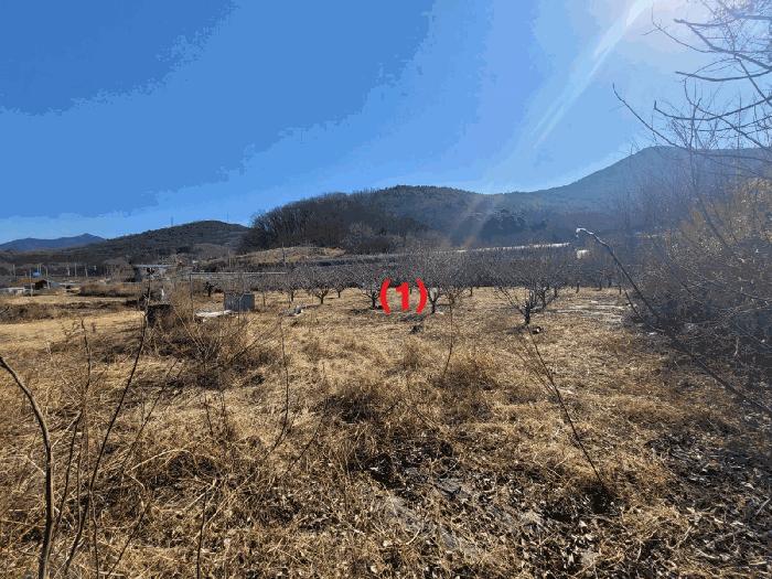 사진 02