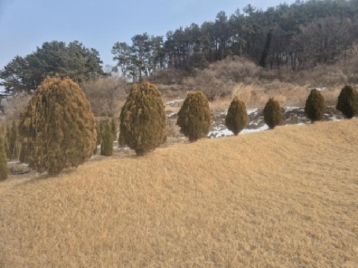 사진 07