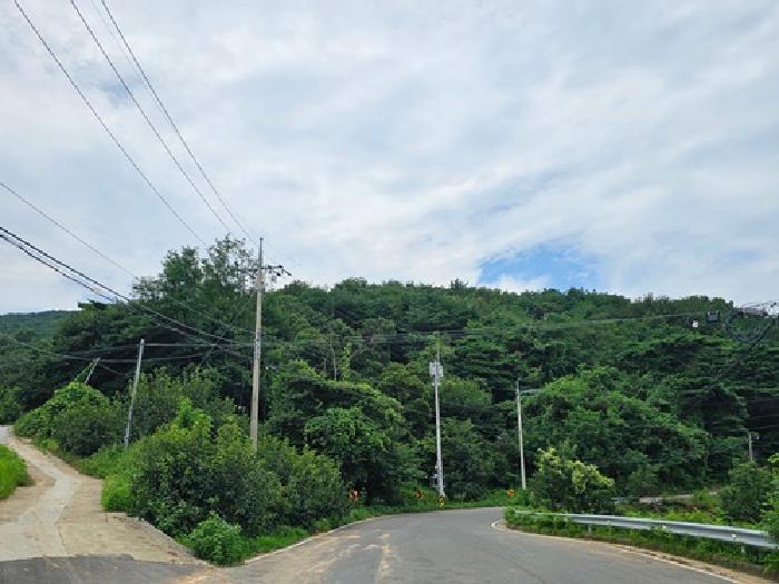 사진 06