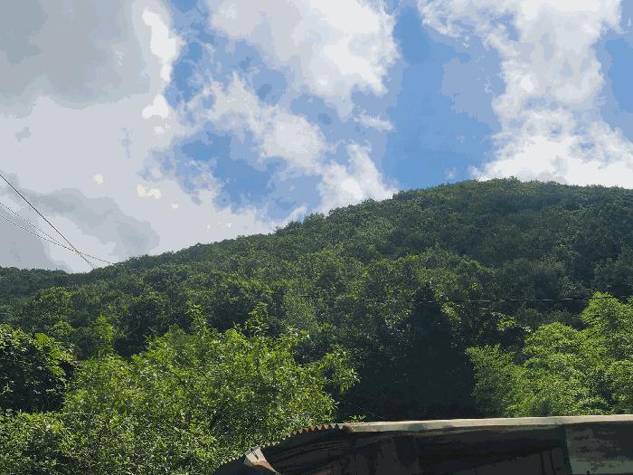 사진 06