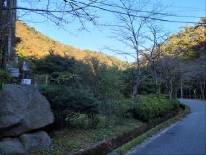 사진 02