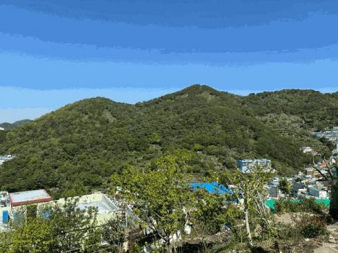 사진 04