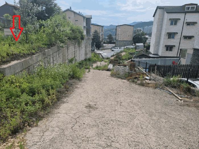 사진 06
