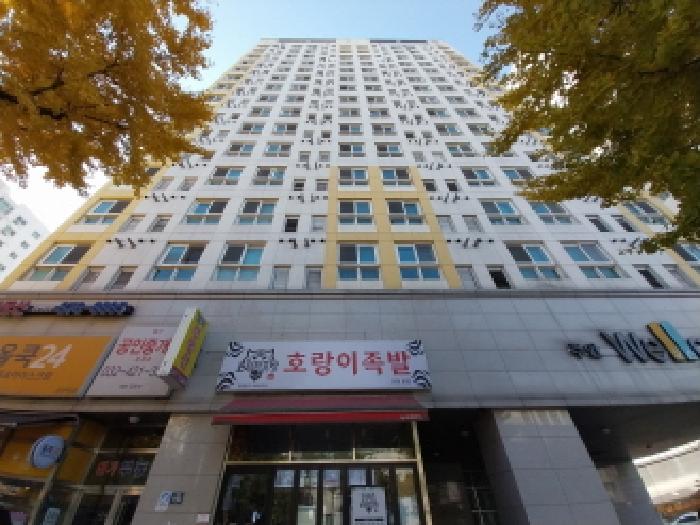 사진 03