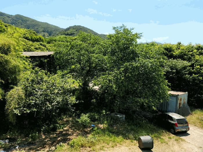 사진 08
