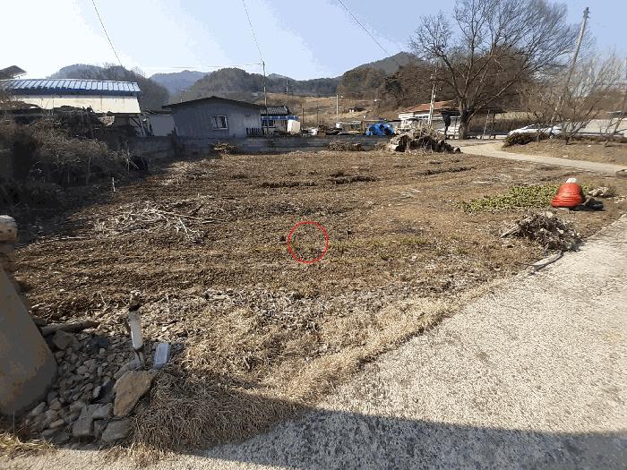 사진 03