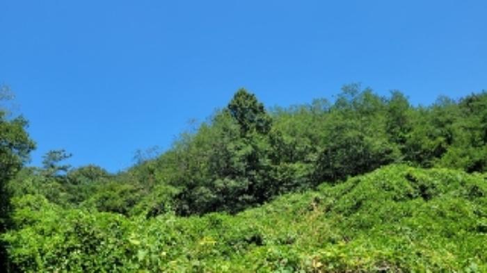 사진 05