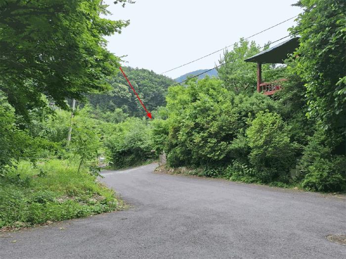사진 06