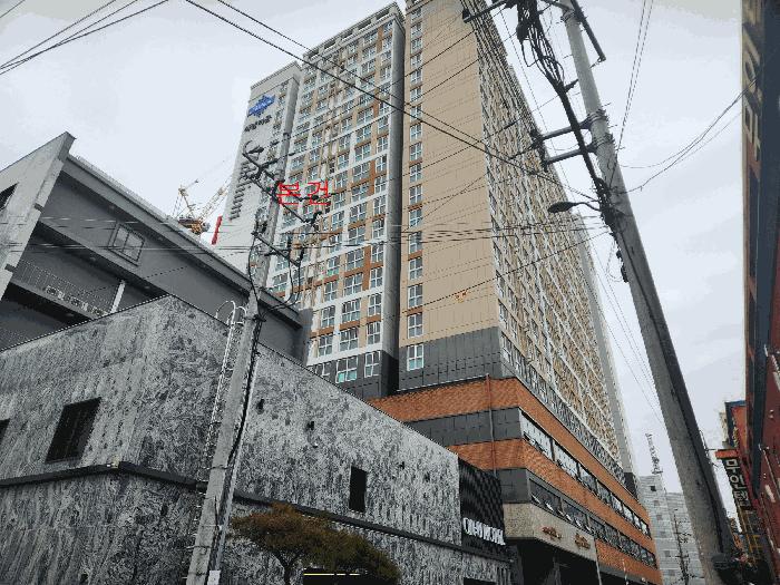 사진 01