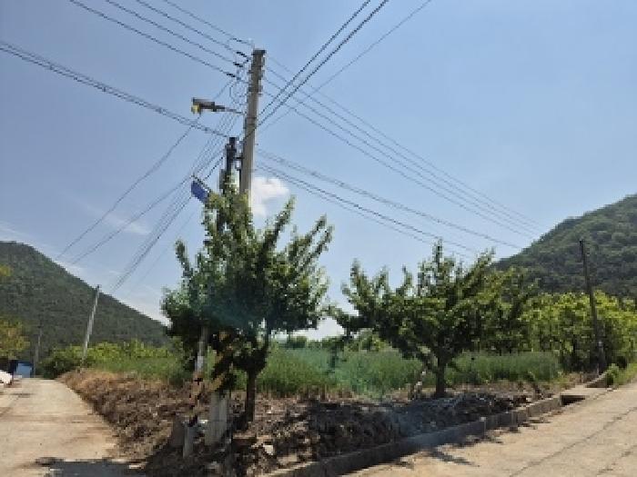 사진 01