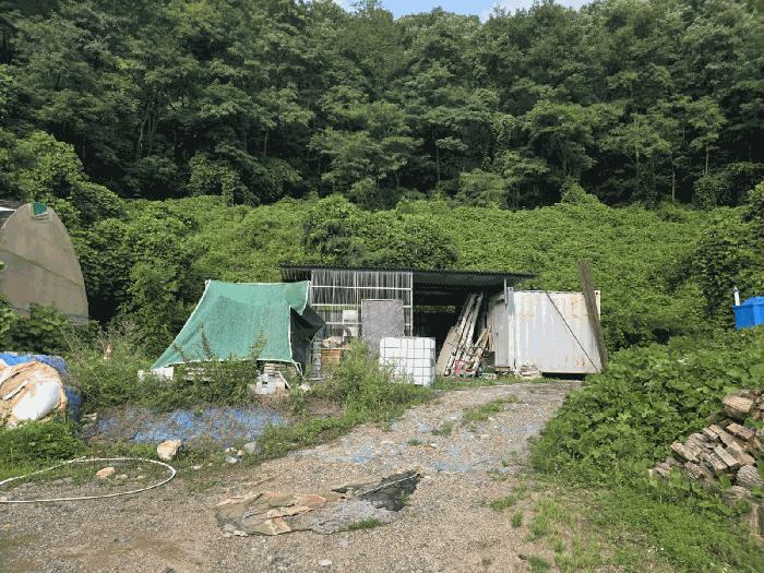 사진 03