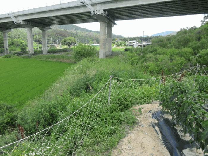 사진 04