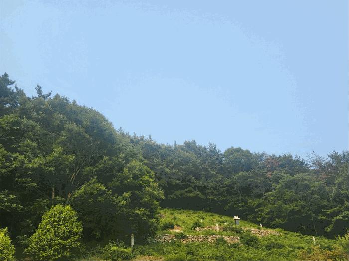 사진 05