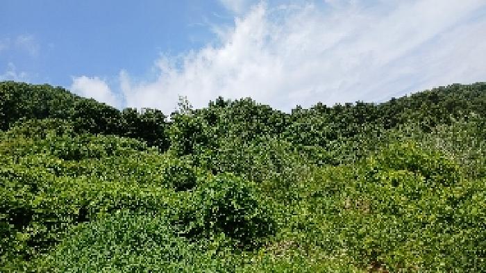 사진 08