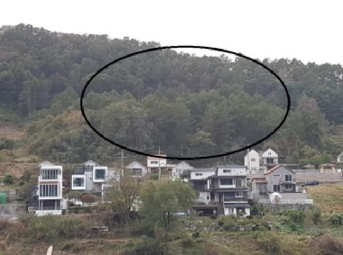 사진 04
