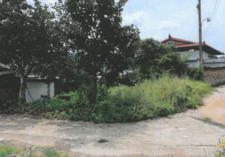 사진 01