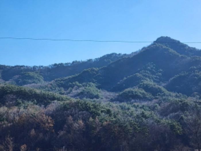 사진 07