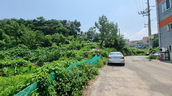 사진 03