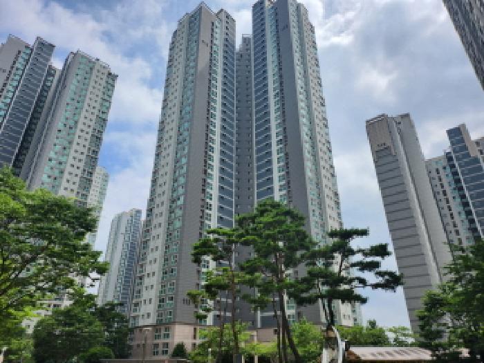사진 05
