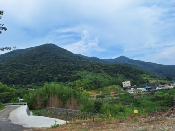 사진 08