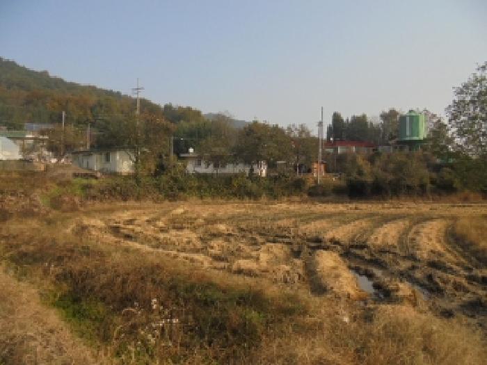 사진 05