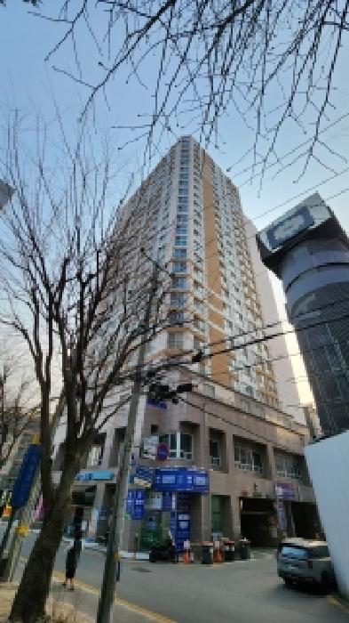 사진 01