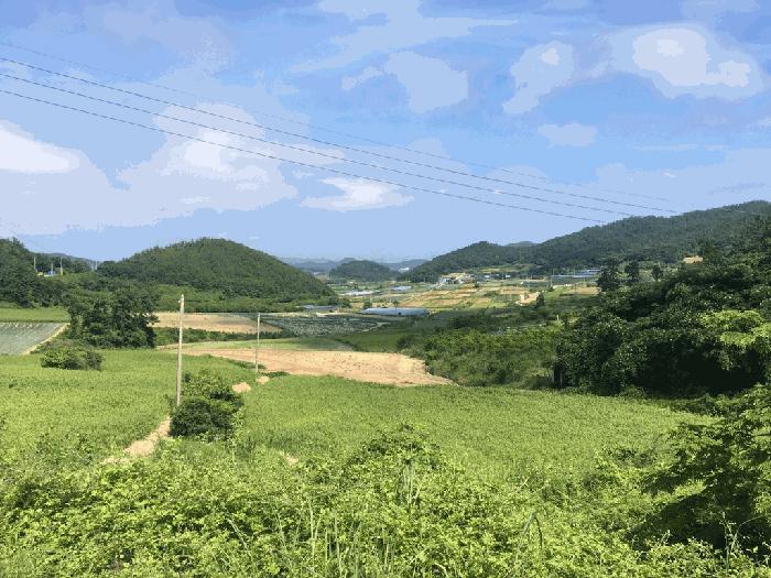 사진 07