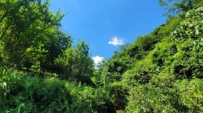 사진 07