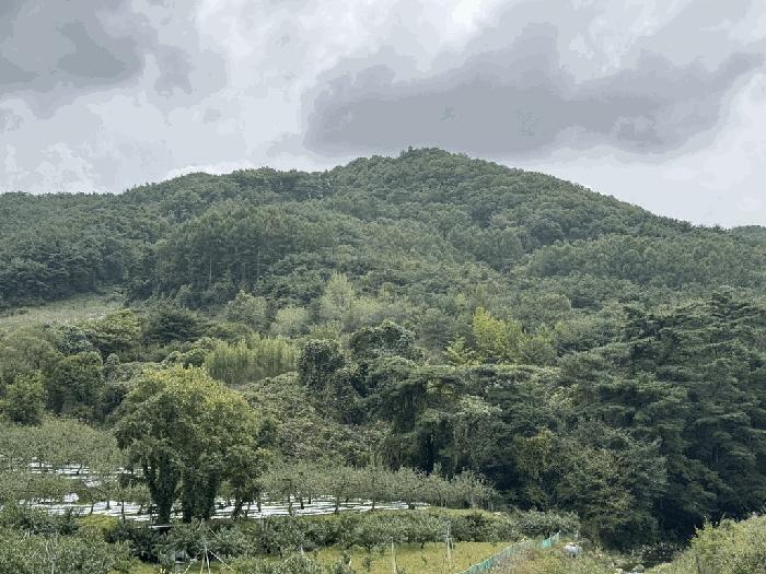 사진 02