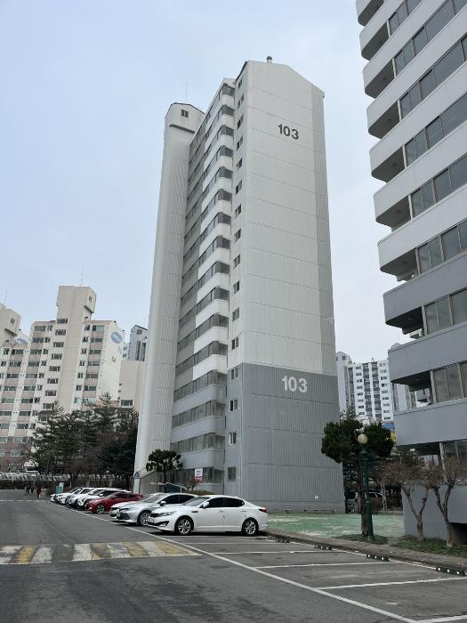 사진 06
