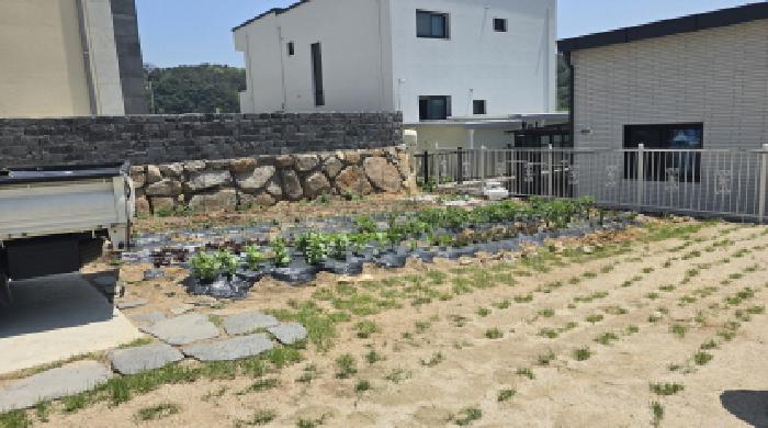 사진 05