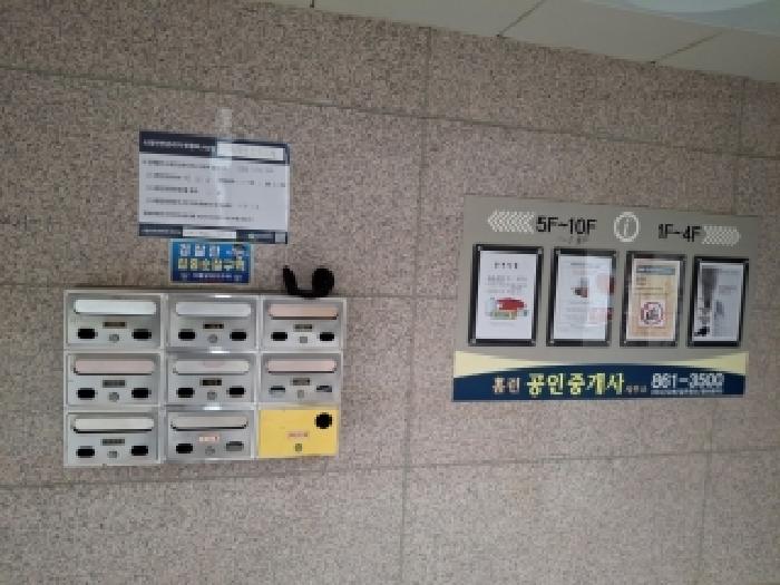 대표사진