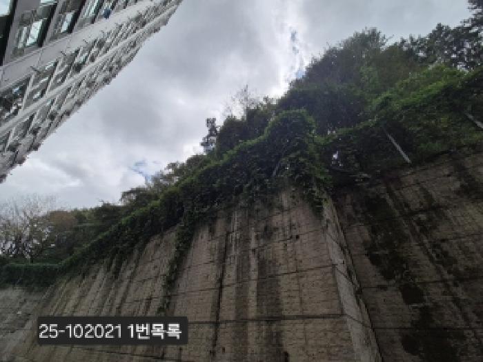 사진 03