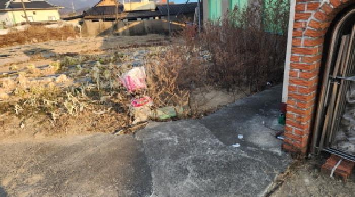 사진 08