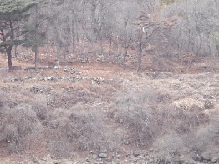 사진 06