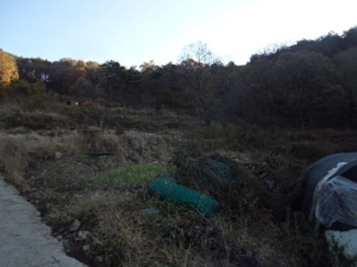 사진 08
