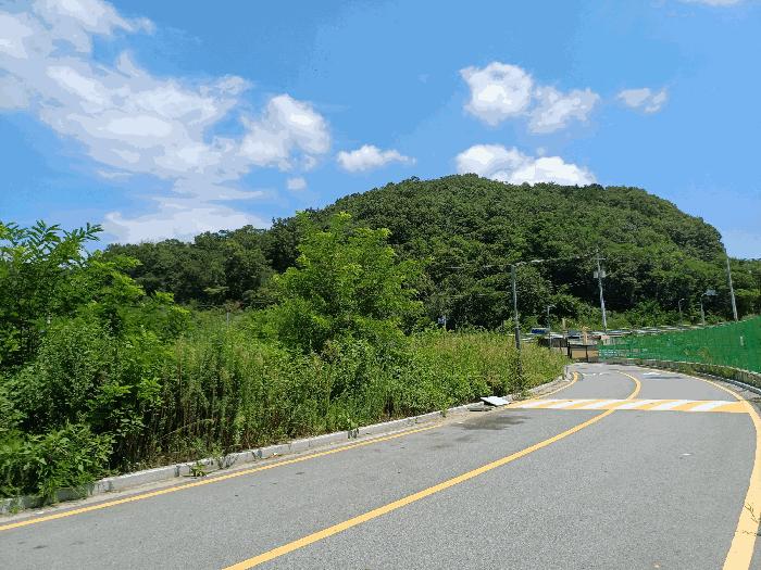 사진 07
