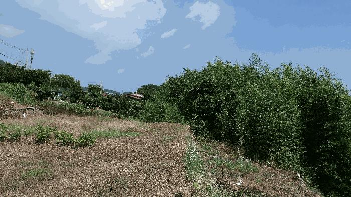 사진 05