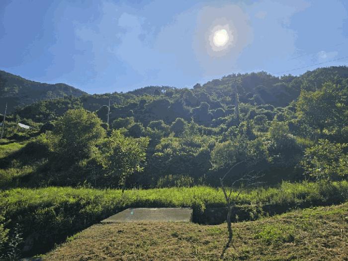 사진 07